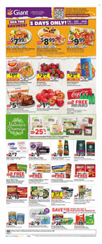 Page 1 of Giant Ad