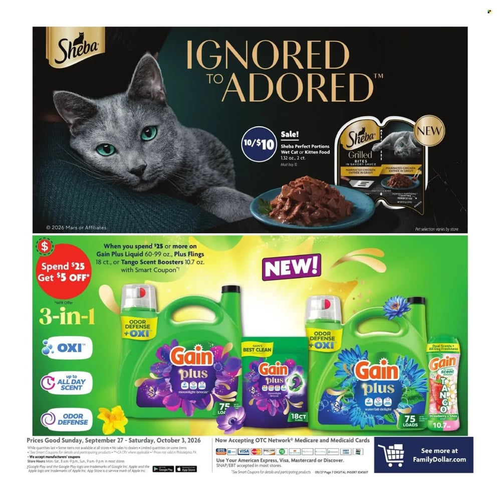 Family Dollar Ad - Page 13