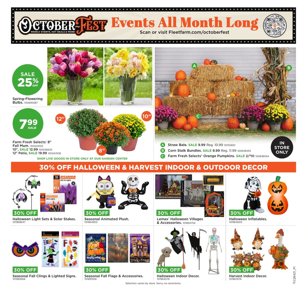 Fleet Farm Weekly Ad - October Fest Sale - Page 19