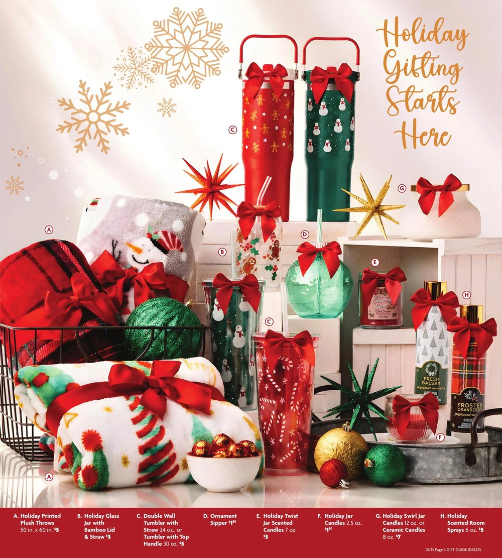 Family Dollar - Holiday Gift Guide - Page 9