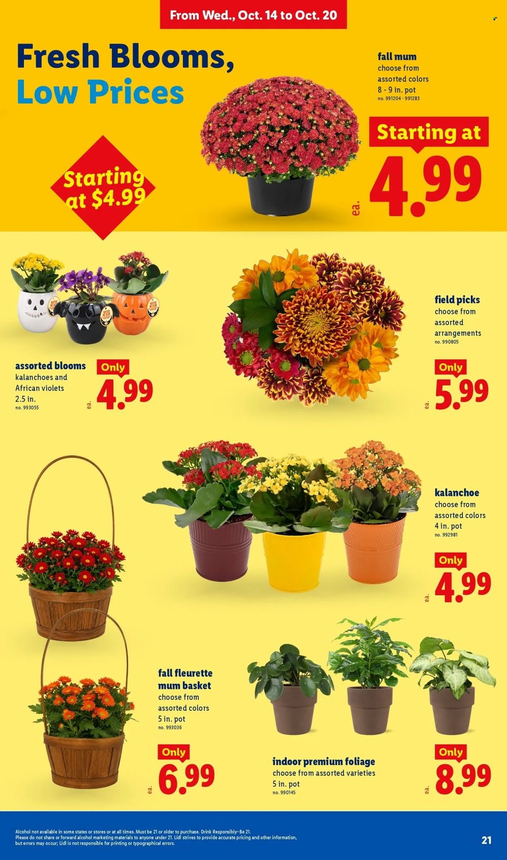 Lidl Weekly Ad - Page 21