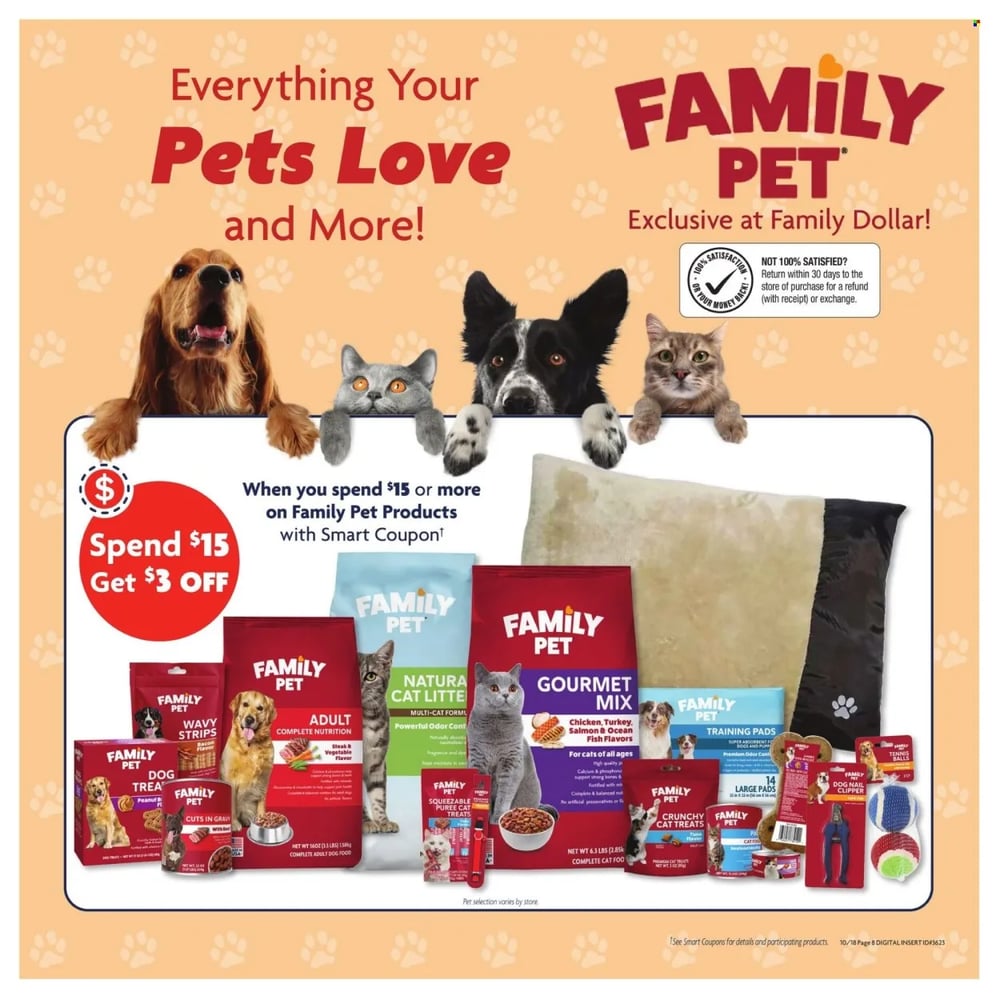 Family Dollar Ad - Page 11