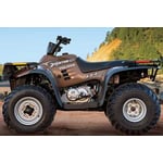 Picture of Recalled ATV