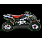 Picture of Recalled ATV