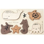 Recalled Ocean Tray Puzzle