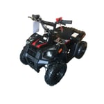 Recalled Luyuan GBMOTO Monster-G Youth ATV (LY-ATV-40I)