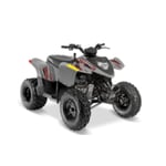 Recalled Model Year 2018-2020 Polaris Phoenix 200 ATV