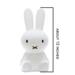 Recalled Miffy First Light
