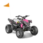 Recalled Model Year 2022 Outlaw 110 EFI ATV– gray and pink