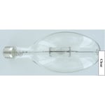 Clear Lamp