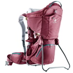 Recalled Kid Comfort Carrier