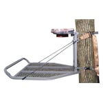 Picture of recalled treestand Ledge, side view