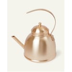 Recalled Brushed Gold Kettle
