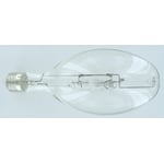 Clear Lamp