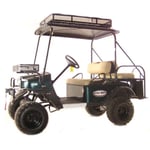 BB Buggies Classic Bad Boy Buggies
