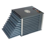 10-Tray