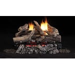 Shadowdance Natural Gas Log Set Assembly