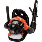 ECHO Backpack blower