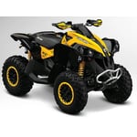 Can-Am Renegade