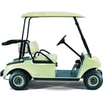 DS Gas Golf Car (AG)