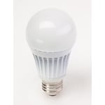 Model A19 LED Bulb