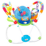 Kids II Baby Einstein Activity Jumper