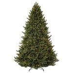 Vermont White Spruce