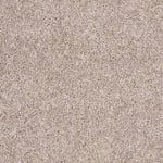 Shaw Industries Aristocrat II Carpet