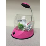 Betta Bowl Kit