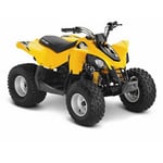 Recalled Can-Am DS 90 model