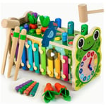 Recalled 6-in-1 Pounding Game Sold by Dmitoy