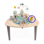 Recalled Janod Activity Table – J04411