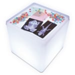 Roylco Educational Light Cube