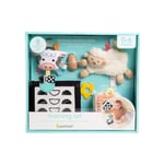 Recalled Pearhead, Inc. Learning Set