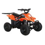 Recalled ACE D110 Youth ATV