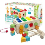 Recalled Shape Sorter Toy