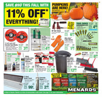 Menards Ad