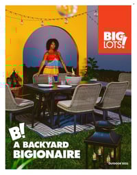 Big Lots Outdoor Catalog 2023