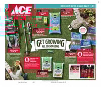 Ace Hardware Ad