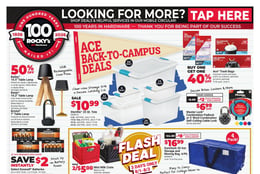 Ace Hardware - Flyer Specials