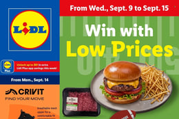 Lidl Ad