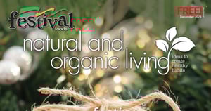 Festival Foods current Flyer online
