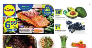 Lidl current Flyer online