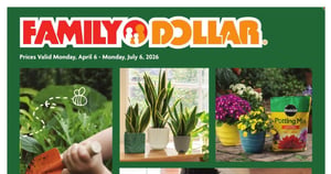 Family Dollar current Flyer online
