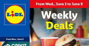 Lidl current Flyer online