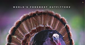 Bass Pro Shops current Flyer online