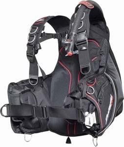Recalled Element model BCD