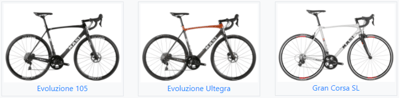 2020 Masi Evoluzione (all models) and Gran Corsa model