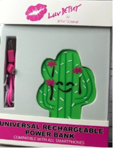 Cactus power bank