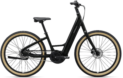 Recalled Momentum Vida E+ E-Bike (panther)